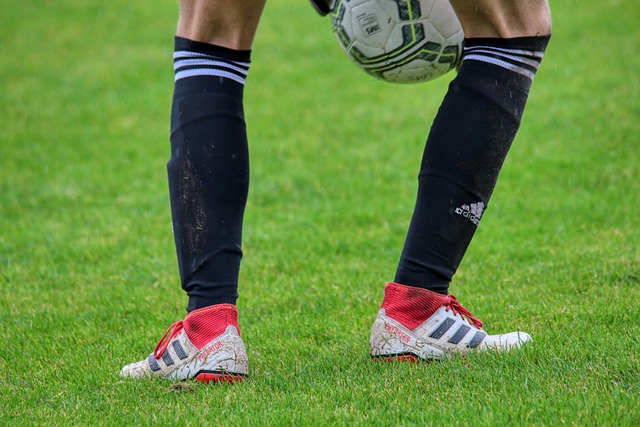 2025中超大结局：海港夺冠，亚泰、梅州降级，法比奥金靴